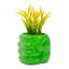 6 po Hulk Smash Plant
