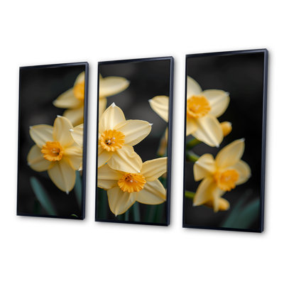 - Ensemble de reproductions d'art mural jonquilles