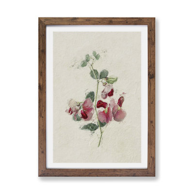 Sweet Pea Flowers - Framed Print