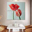 Harnek, belles tulipes rouges-109115347