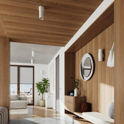 Flash Steel Flush Mount