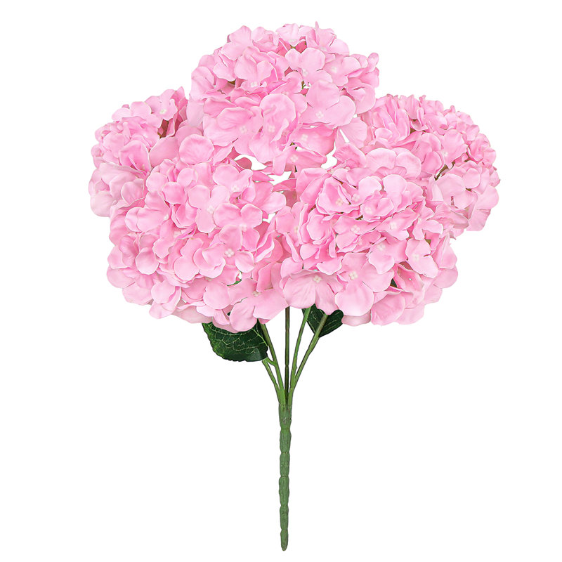 Hortensia de luxe, Rose