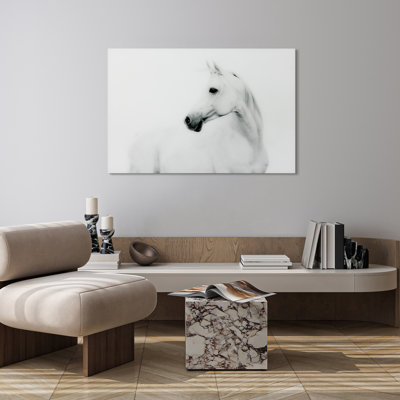 White Horse Graphic Art Print on Glass