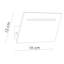 Witcher LED Up & Downlight-1516154274