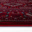 Oriental Indoor / Outdoor Area Rug-1815327073