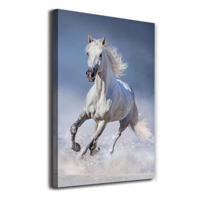White Horse In Gallop - Wrapped Canvas Print
