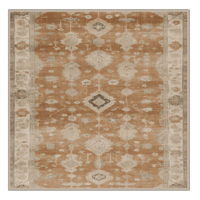 Machine Washable Overdyed Brown Area Rug