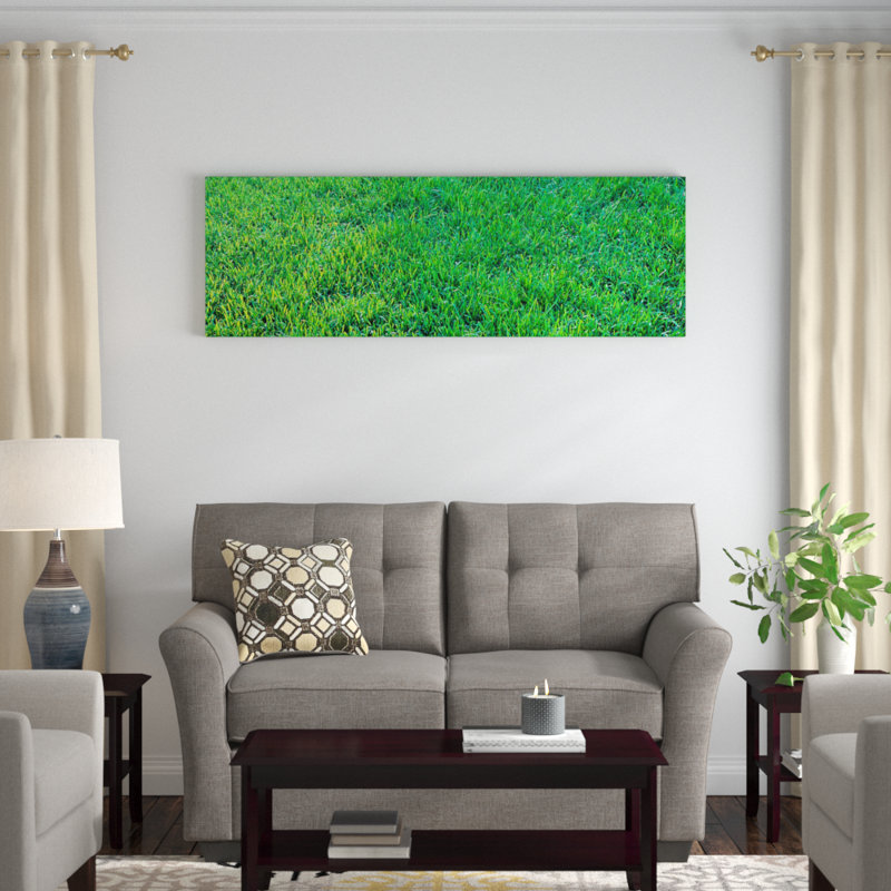 « herbe sacramento, california », reproduction de photo sur toile, H 12 po x l 36 po x P 1,5 po, Toile tendue