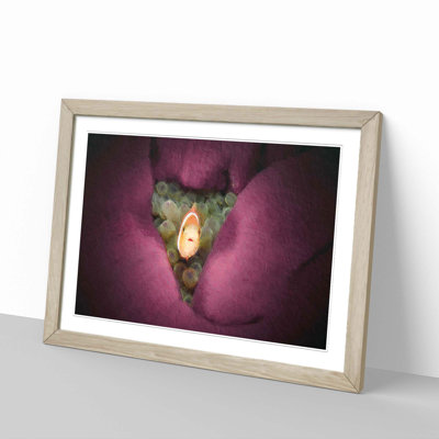 Clownfish & Sea Anemone - Picture Frame Painting