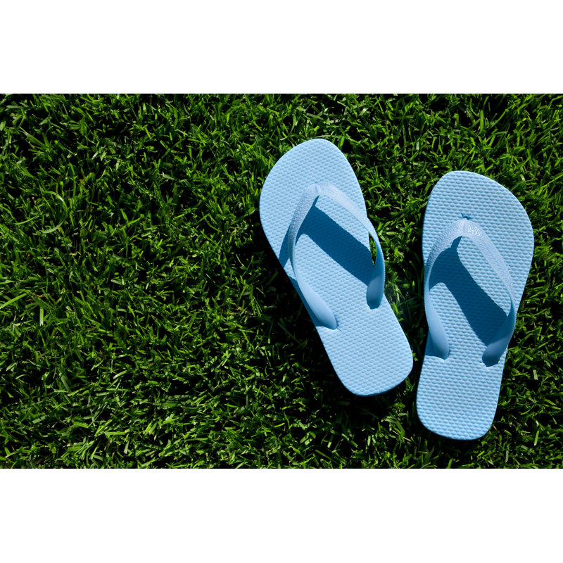Flip Flop! by Liliboas, 12" H x 18" W