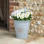 Dinardo Pot Planter-1955219779-1955219776