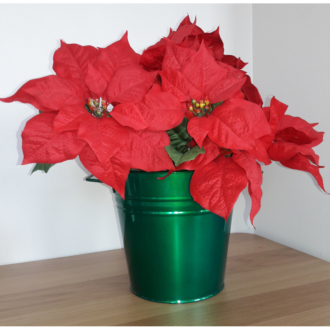 Jayia Metal Pot Planter Winston Porter