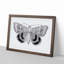 Sleepy Underwing Moth by S.F. Denton - Picture Frame Painting Print-55619411-55619415