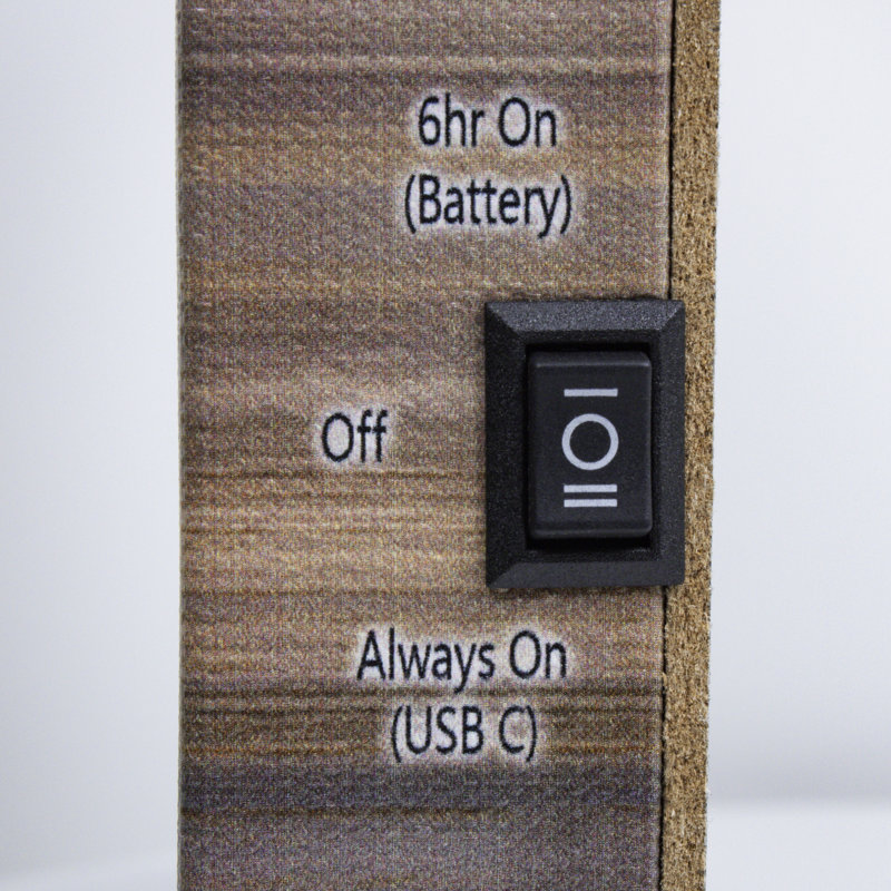 Tree Farm 8x6 Mini Lighted Easel Back Canvas