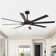 Boleslaus 65'' Ceiling Fan with LED Lights
