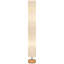 HOMCOM LED Floor Lamp with 3000K/4500K/6500K Colour Temperatures, Grey