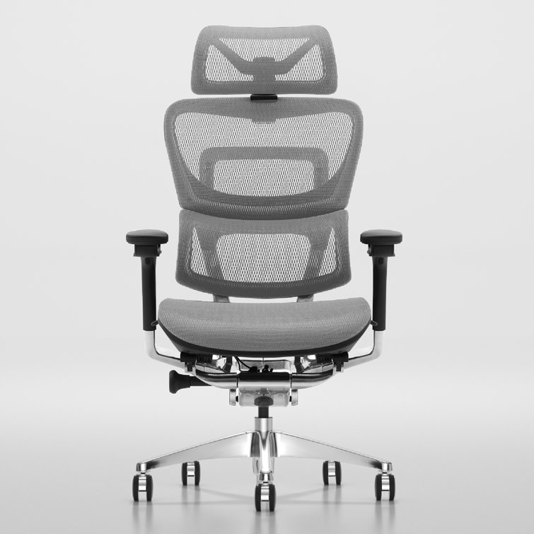 https://assets.wfcdn.com/im/72172621/resize-h755-w755%5Ecompr-r85/2366/236651612/Ergonomic+Office+Chair+with+Headrest+High+Back+Business+Mesh+Task+Chair.jpg