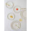 Ensemble de grandes assiettes élégantes (6 pièces), 100% porcelaine, 10,6 x 10,6 x 0,8 pouces | Va au lave-vaisselle, parfait pour les réceptions et l'utilisation quotidienne | Conception durable et élégante pour toutes les occasions