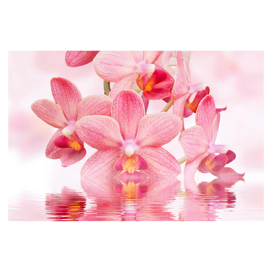 Pink Orchids on Water 1.9m x 2.88m Textured Matte Peel & Stick Wall Mural