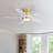 Rita 42" 5-Blade Gold Modern Ceiling Fan Light With 6-Speed Adjustable Wind Speed-1192645663