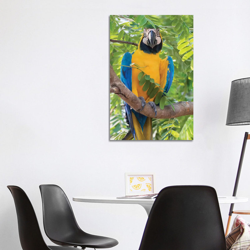 Blue and Gold Macaw 1 Piece Wrapped Canvas Wall Art, 101.6 cm H x 66.04 cm W x 1.91 cm D