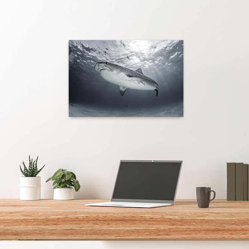 Tiger Shark Ocean Sunlight Dramatic Tranquil Abstract Fish Shark Tiger Ocean Wildlife Wall Art Print 1 Piece Wrapped Canvas Wall Art