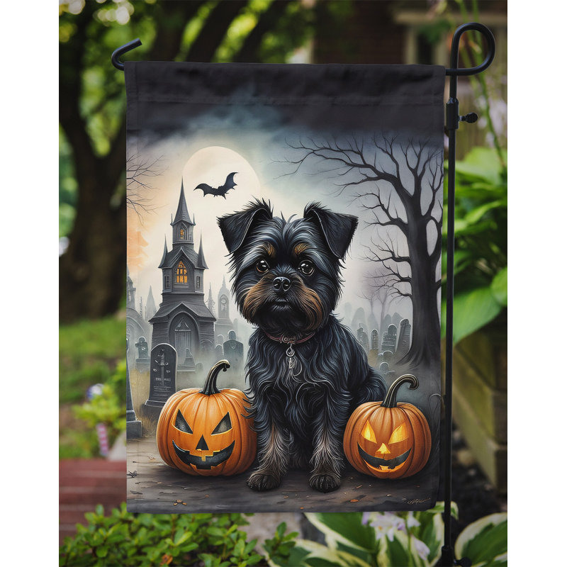 Double Sided 15.5'' H x 11.25'' W Polyester Halloween Garden Flag