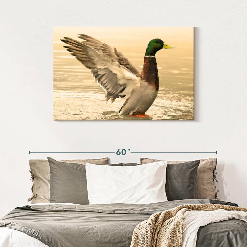 Canard colvert majestueux Brampt, H 30 po x l 45 po