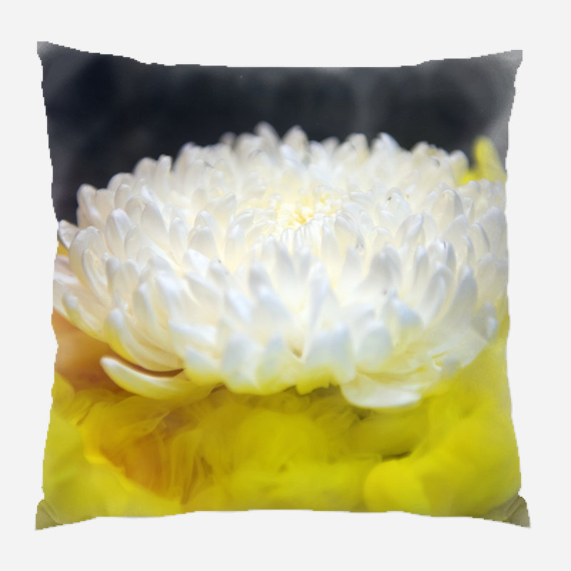 Coussin décoratif naturel Ismene, Microsuède, Intérieur