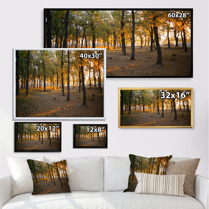 Lever de soleil sur la forêt d'automne - Photographie sur toile, Cadre noir, H 8 po x l 12 po x P 1 po