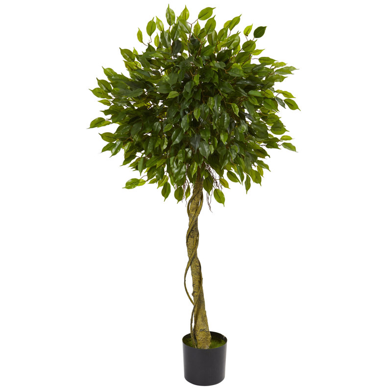 5 pi Arbre topiaire artificiel Ficus, résistant aux rayons UV (intérieur / extérieur)
