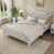 Blanc antique est en rupture de stock