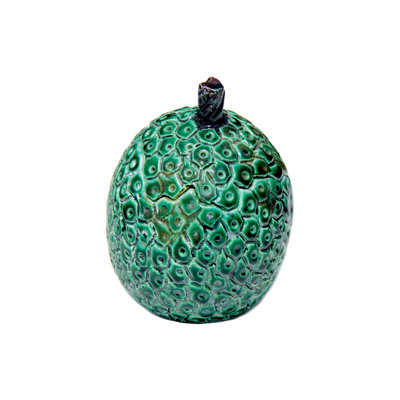 Bread Fruit Tropical Escape Scented Novelty Candle