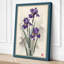 Violet Irises Botanical - Wrapped Canvas-1681034899-1681034889