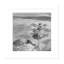 Parasol plage I - noir et blanc-1563634660-1563634661