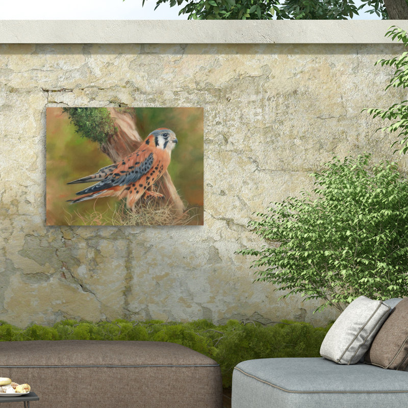 Toile d'extérieur David Stribble American Kestrel, H 14 po x l 19 po