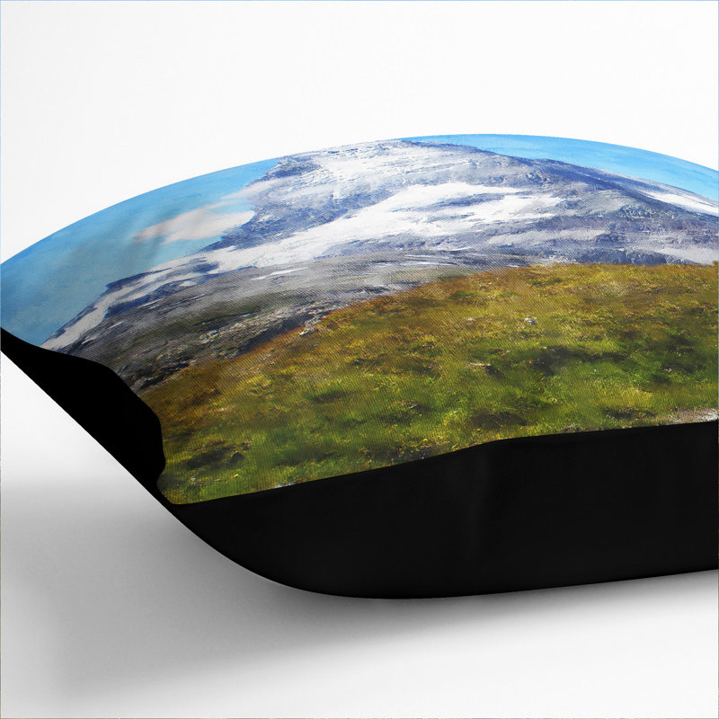 Square Cushion, 40cm H x 40cm W x 15cm D, Black
