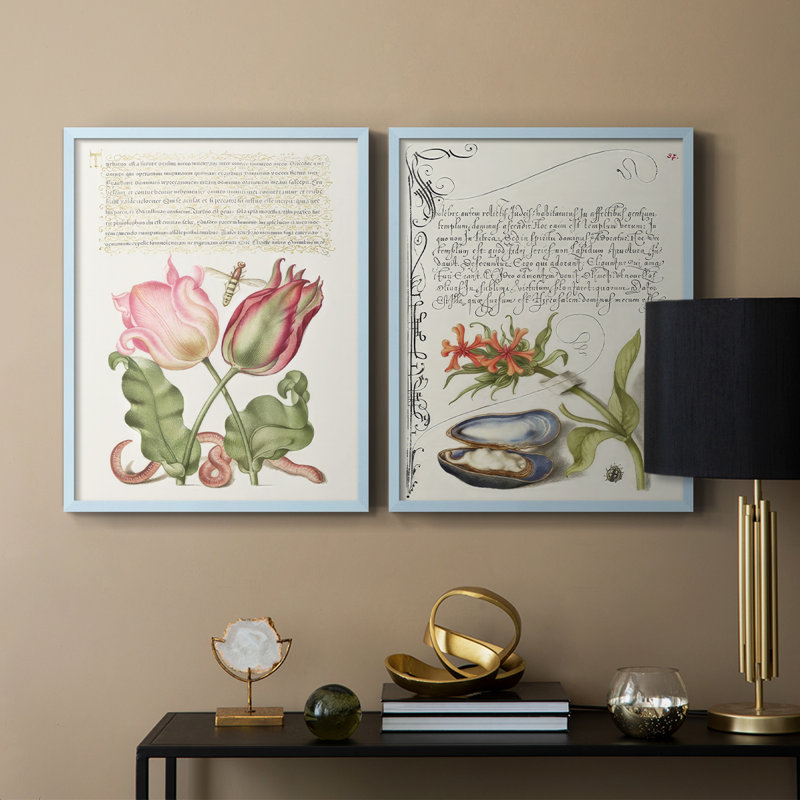 Reproduction encadrée Hoefnagel de spéculations tropicales X-Premium - prêt à être accroché - aucun clou requis - aucun clou requis