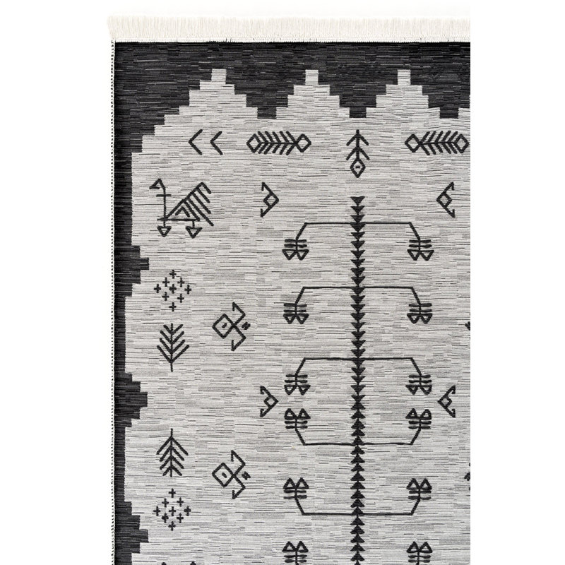 Adraya Cotton Machine Made Indoor / Outdoor Area Rug, Rectangle 2'8" x 4'11"