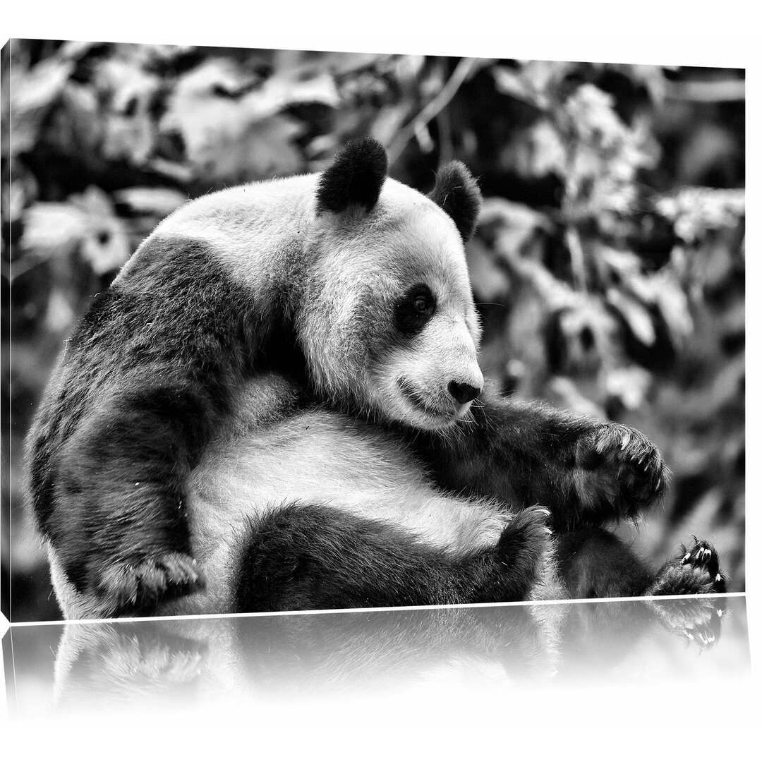 Leinwandbild Niedlicher Pandabär in Monochrom