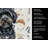 Black Havanese Coffee Bar Kitchen Towel-1168063404