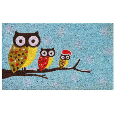 Non-Slip Outdoor Doormat