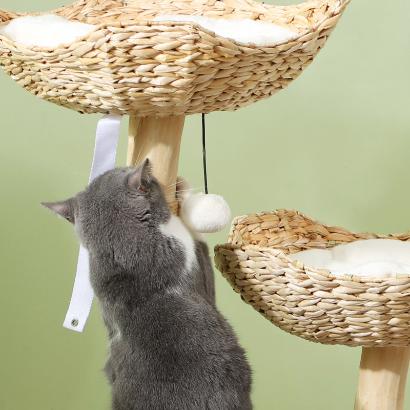Arbre à chat Archie & Oscar ™ moderne avec poteaux à griffer en bois, condo, lits, coussins