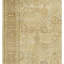 Wool Oriental Area Rug in Ivory/Fawn-245961039