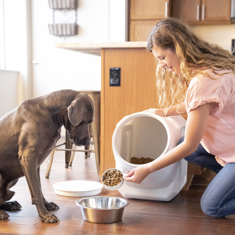 Gray Airtight Stackable Plastic Pet Food Storage Container