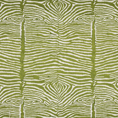 Cape Comorin Le Zebre Emb Fabric