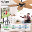 Ventilateur de plafond 52 pouces Tropical