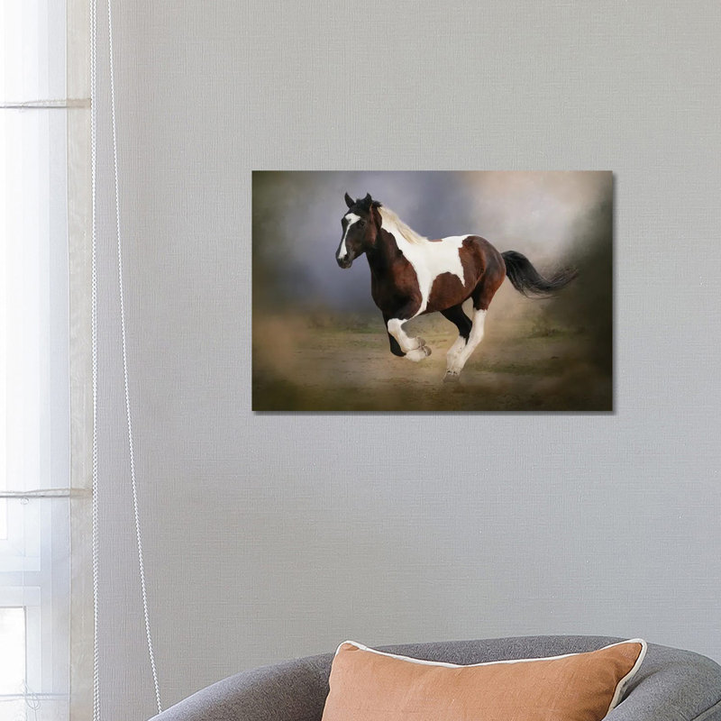 A Run Through The Mist by Rhonda Thompson - Wrapped Canvas Print, 45.72cm H x 66.04cm W x 1.905cm D