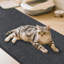 Solid Colour Area Rug-933044024