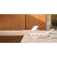 Ensemble de chaises longues inclinables 78,75 po Voxel